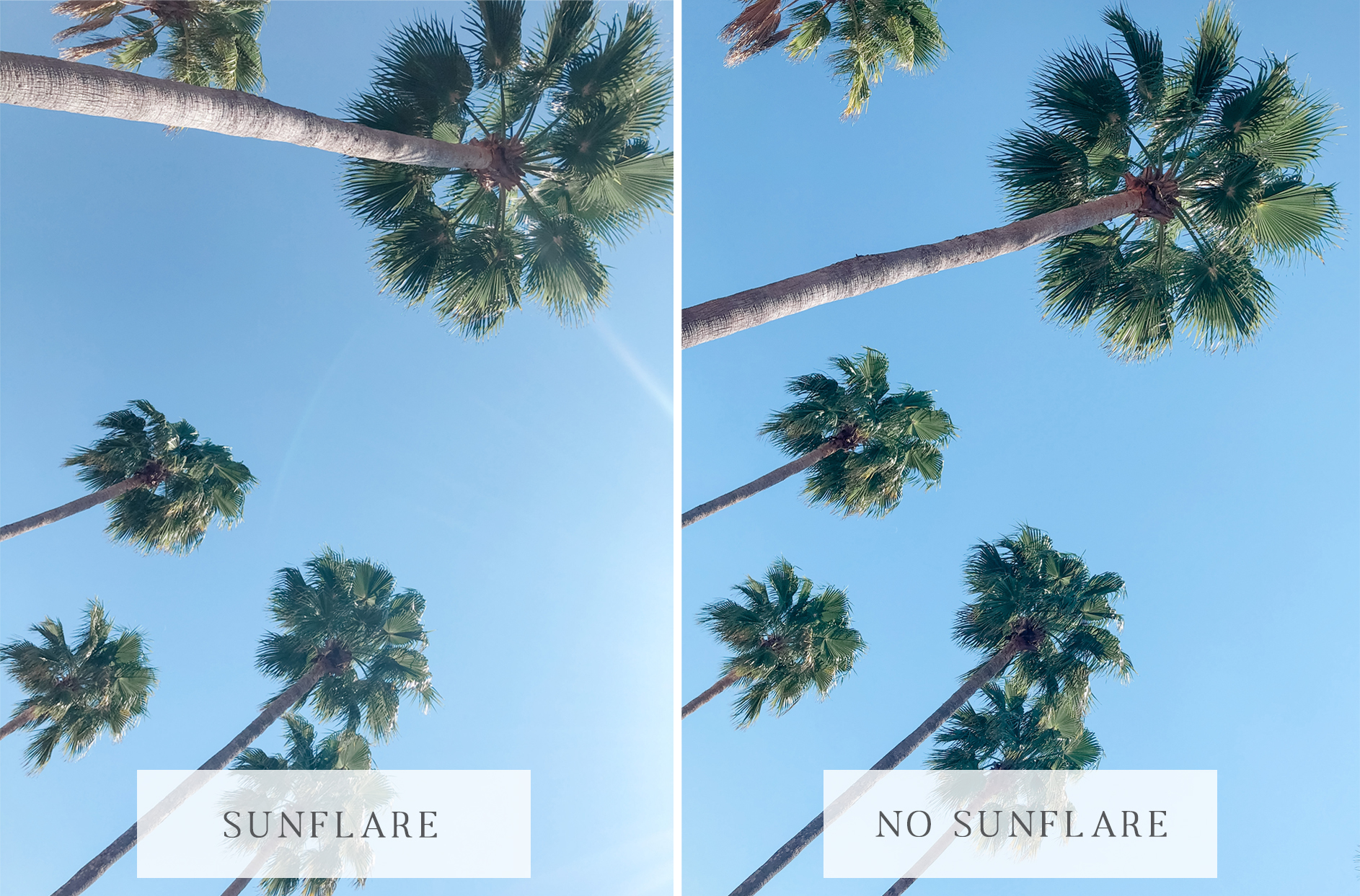 Before image of what sunflare looks like on an iphone photo and after image of what an iphone photo looks like without sunflare.