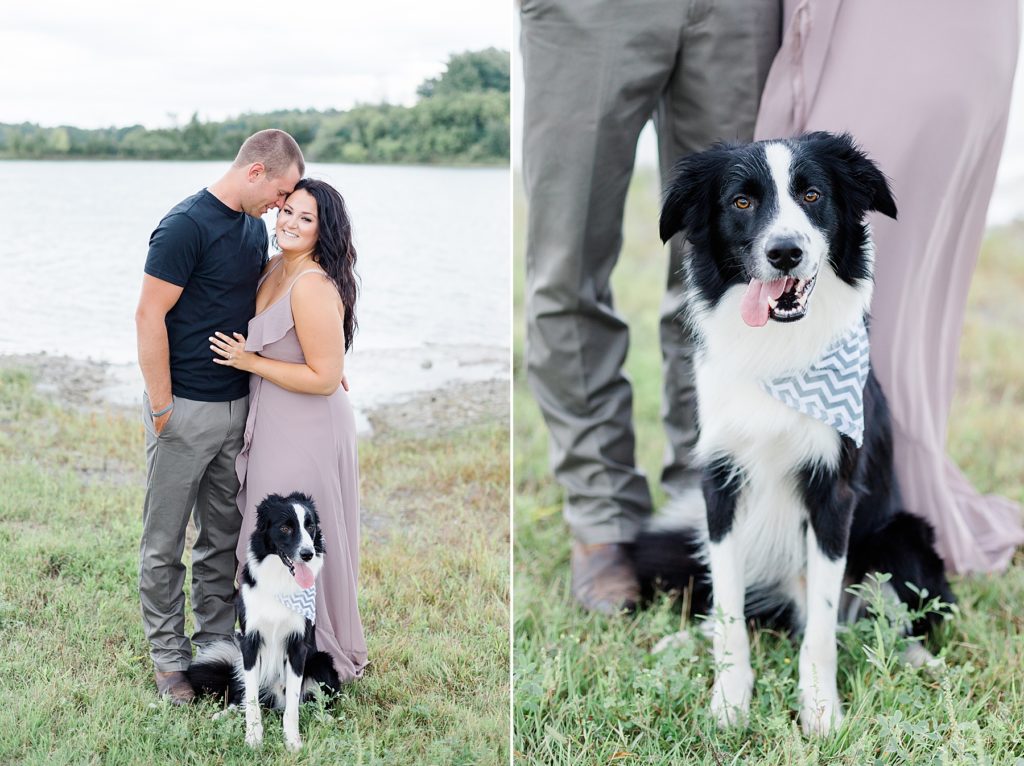 dog's parents are getting married