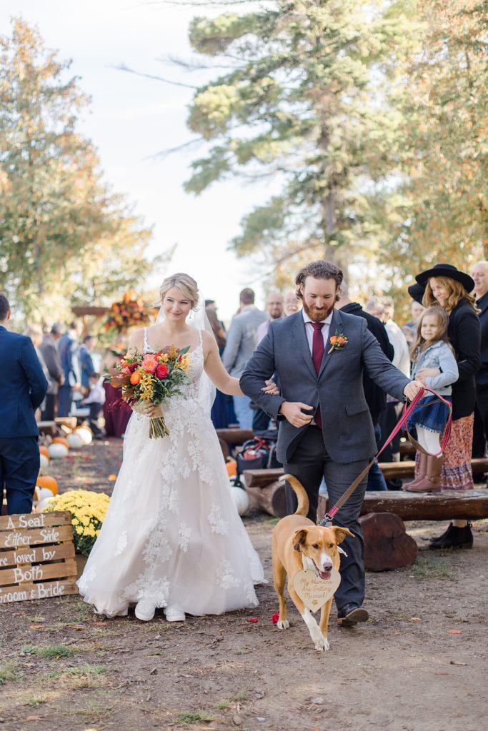 bride and groom exiting the ceremony with their puppy at Calabogie Peaks wedding photographed by Brittany Navin Photography