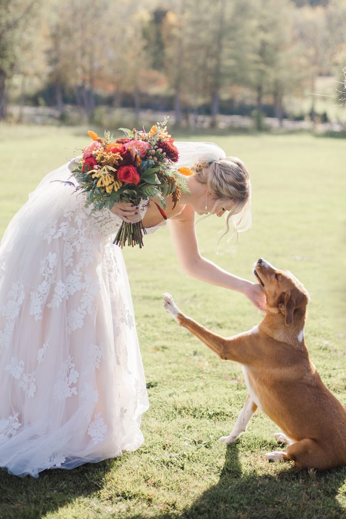 bride with her dog at Calabogie Peaks wedding photographed by Brittany Navin Photography