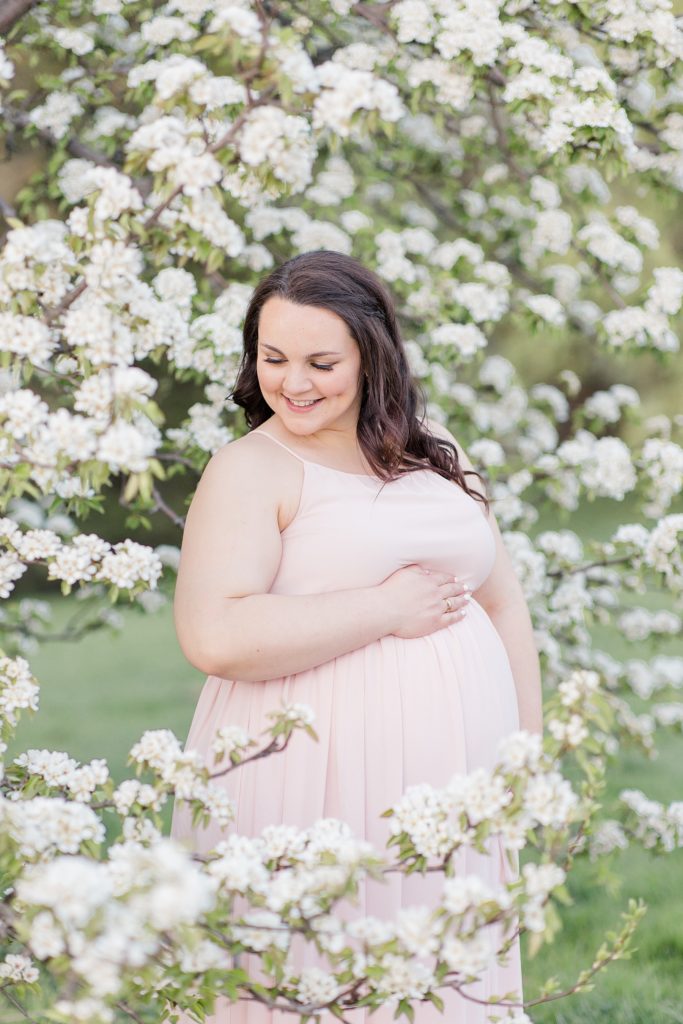 Ottawa cherry blossom maternity session at the dominion arboretum photographed by ottawa wedding photographer, brittany navin photography