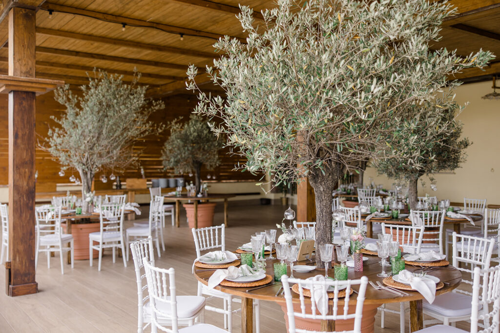 wedding reception space with olive trees growing through the table as centre pieces at Rome countryside wedding held at Tenuta La Porta Sul Lago photographed by Destination Wedding Photographer Brittany Navin Photography