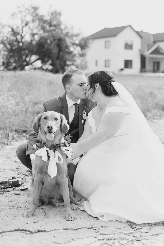 bride and groom and their dog at Bleeks and Bergamot wedding in Ashton, Ontario photographed by Ottawa wedding photographer, Brittany Navin Photography