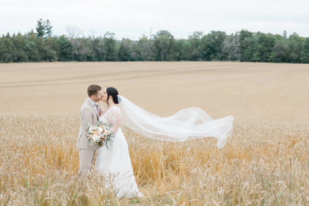 Bride and groom portraits in beige wispy field with veil blowing in the wind at Evermore wedding in late August photographed by Brittany Navin Photography