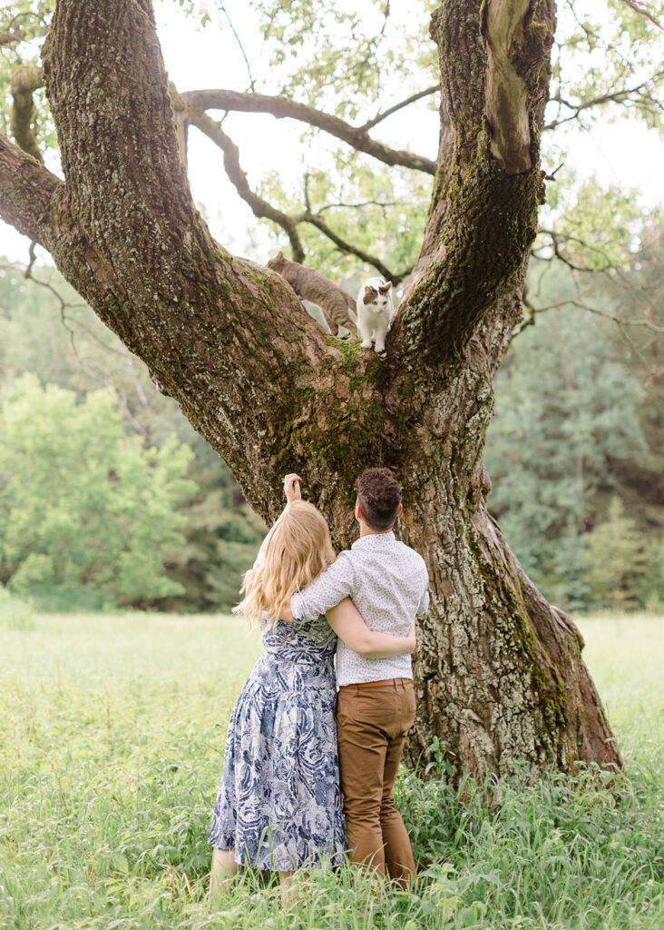 Private property engagement session with their cats in a large wispy grassed field with a gorgeous tree in the centre photographed by Ottawa wedding photographer, Brittany Navin