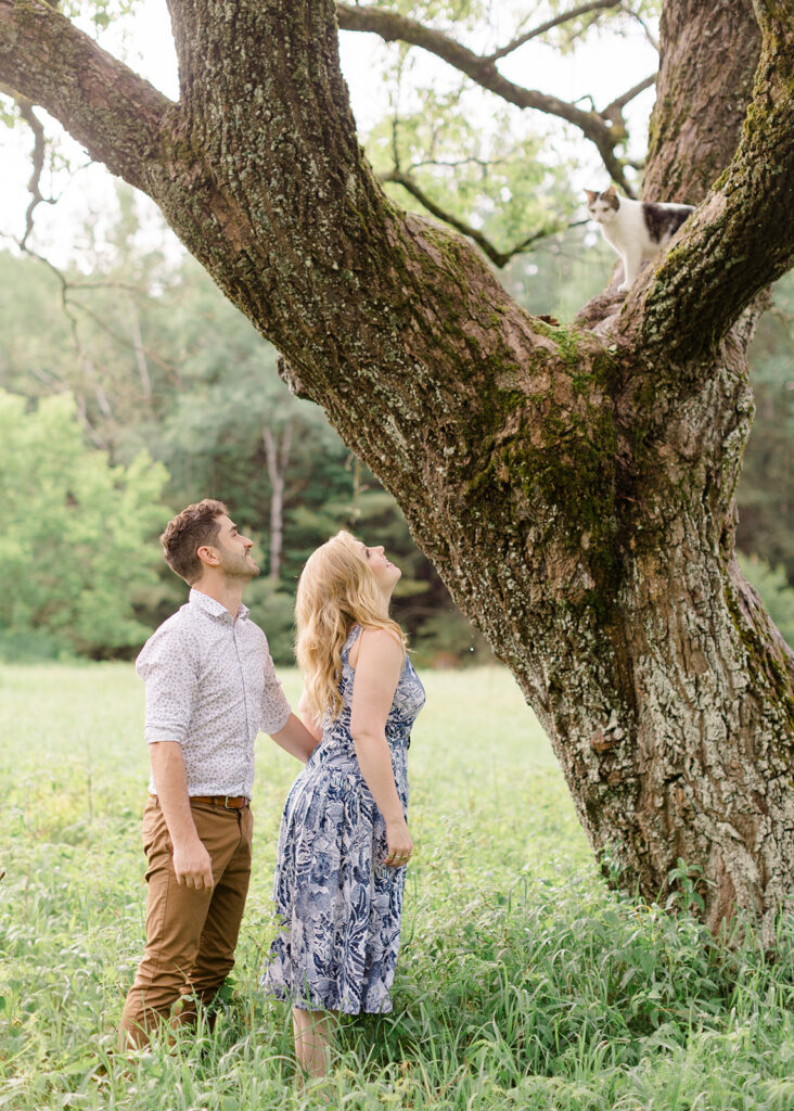 Private property engagement session with their cats in a large wispy grassed field with a gorgeous tree in the centre photographed by Ottawa wedding photographer, Brittany Navin